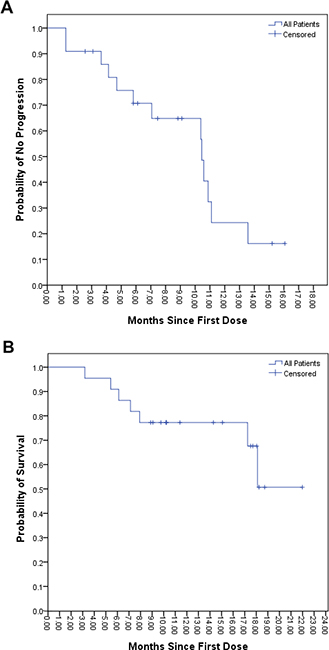 Kaplan&ndash;Meier Analysis of Time to Progression and Overall Survival.