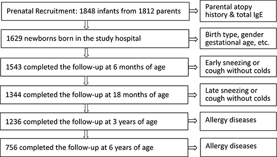 Summary of the birth cohort study.