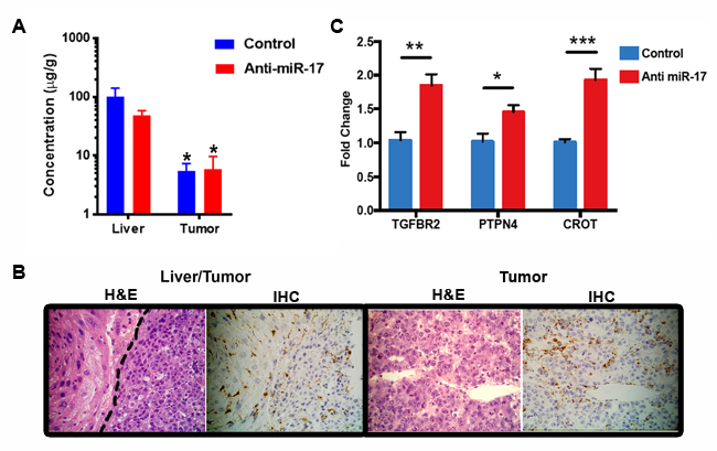 Lipid