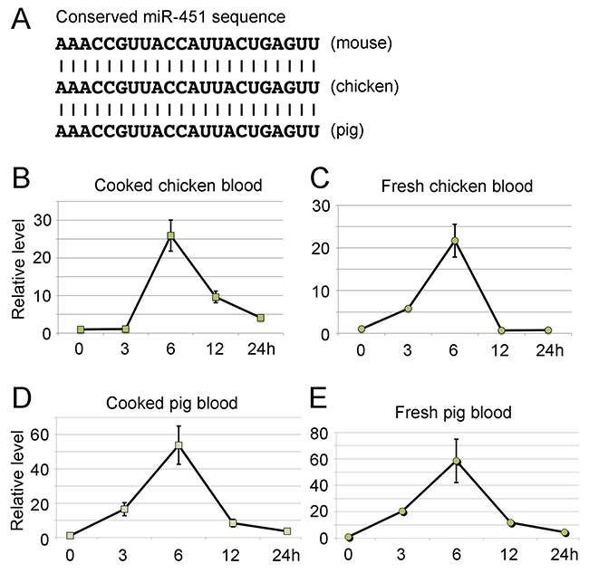 Ingestion of wild type blood from chickens and pigs increases the level of miR-451 in peripheral blood of miR-144/451 KO mice.