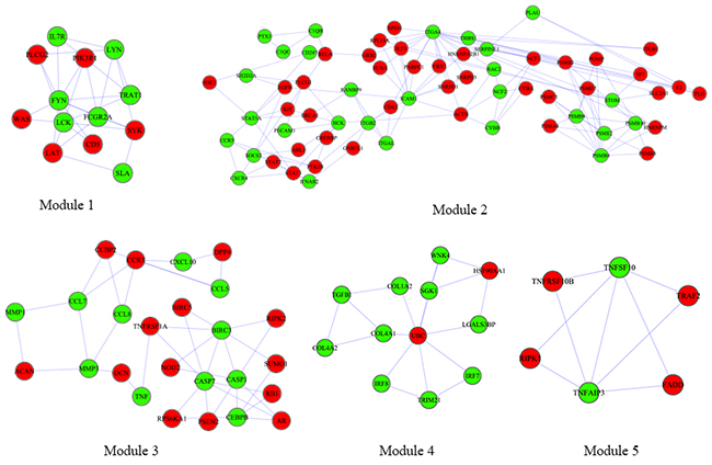 Modules of PPI network obtained through MCODE plugin of Cytoscape.