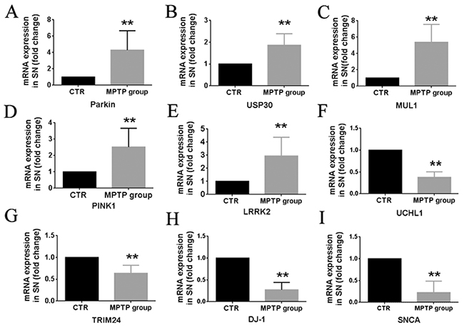 Summary  of  transcription  (RNA)  profiles  in  brain  tissues  from  MPTP-induced  monkeys  and  control monkeys.