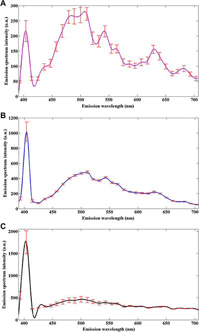 Nonlinear emission spectra of the normal muscular tissues (A), pretherapy muscular tissues (B), and posttherapy muscular tissues (C) in rectal cancer, obtained under the same conditions.