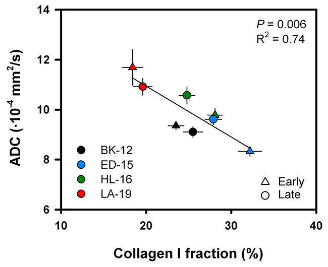 ADC versus collagen I fraction.