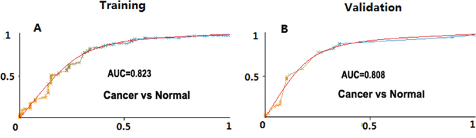 Area under the curve (AUC) values of lipid panels for disease prediction in training and the validation cohorts.