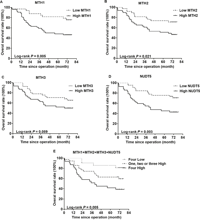 Kaplan-Meier curves for the overall survival rate of CRC patients.