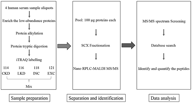 Flowchart of iTRAQ proteomics approach.