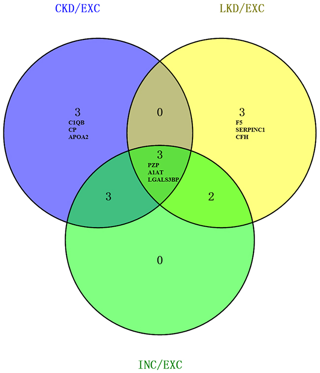 Venn diagram of significantly DEPs compared to EXC.