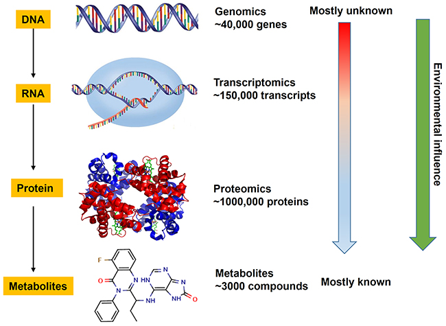 The advantages of metabolomics over other omics.