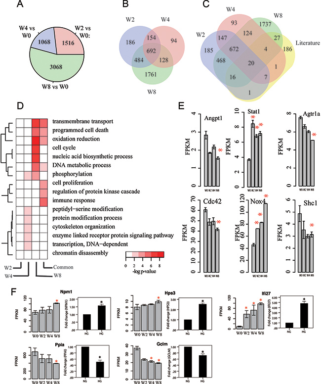 Transcriptome profiles of mRNAs associated with disease progression.