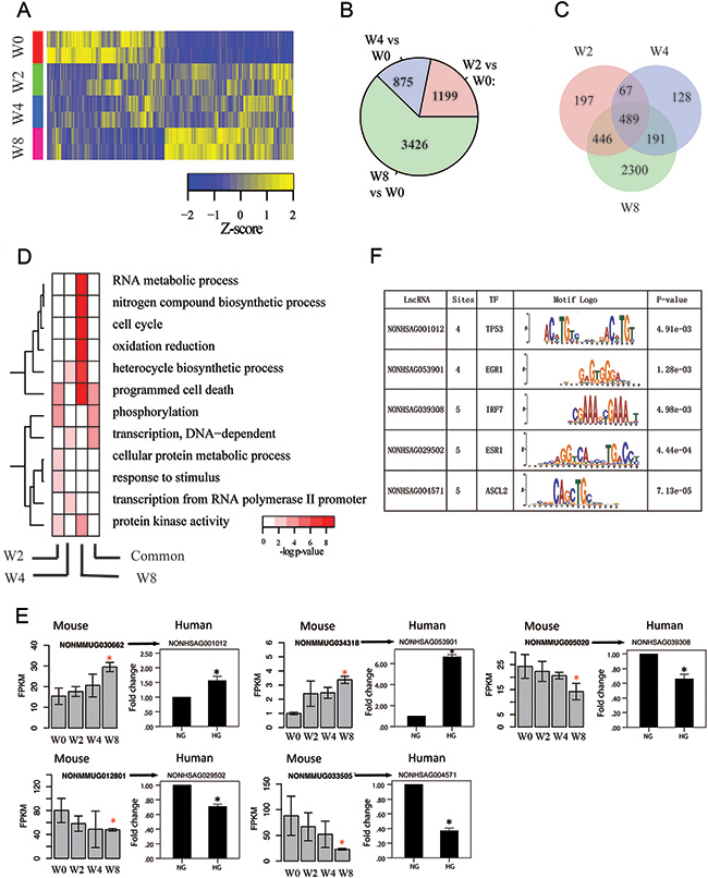 Transcriptome profiles of lncRNA genes associated with disease progression.