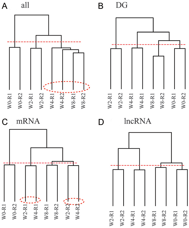 Disease progression is characterized by global expression patterns of lncRNA genes rather than mRNA genes.