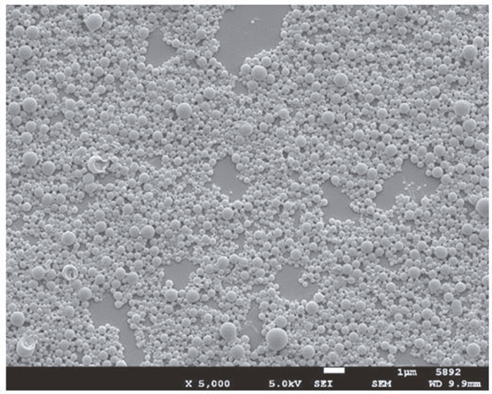 Scanning electron microscopy picture of nanoparticles.