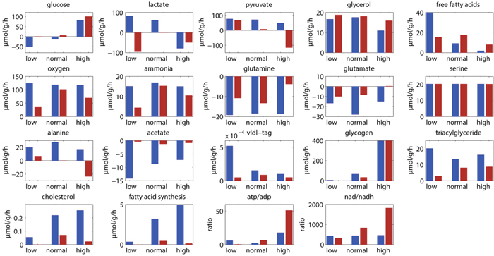 Simulated metabolic levels at three different glucose concentrations (low, 4 mM; normal, 7. 36 mM; high, 10 mM) in healthy kidney (blue) and renal oncocytomas (red).