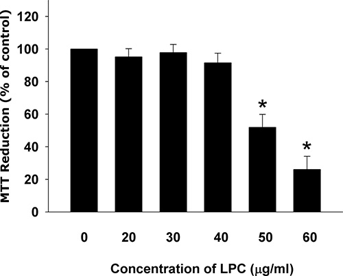 Cytotoxicity of LPC to endothelial cells as analyzed by MTT.