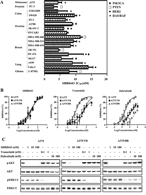 Cell profile of SHR8443 cytotoxicity.