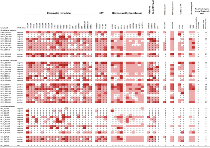 Somatic mutation patterns of all 47 epigenetic key genes included in the Comprehensive Cancer Panel.