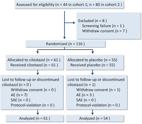 Participant flow diagram.