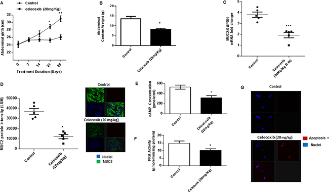 Celecoxib inhibits mucinous tumor growth via cAMP/PKA signaling pathway in vivo.