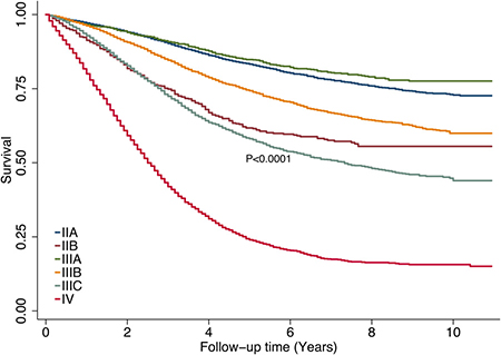 Disease-specific survival rates by tumor stage.