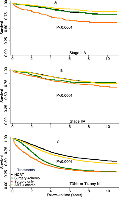 Disease-specific survival rates by treatment type stratified by risk group.