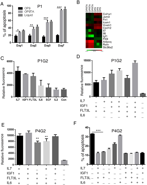 MSC-secreted growth factors maintain the activity of primary B-ALL cells ex vivo.
