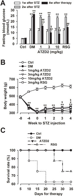 General effects of ATZD2 on T2DM rats.