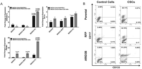 ARID3B enhances cancer stem cell selection in sphere-cultures.