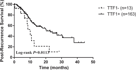 Kaplan&#x2013;Meier survival curve for post-recurrence survival.