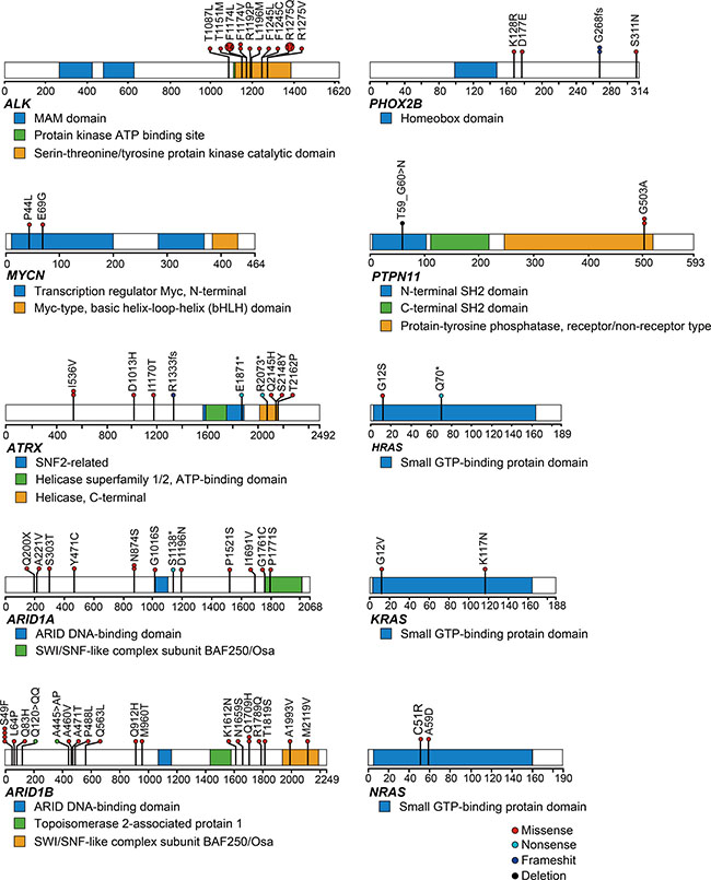 Mutational patterns of representative genes detected by targeted amplicon sequencing (N = 500).