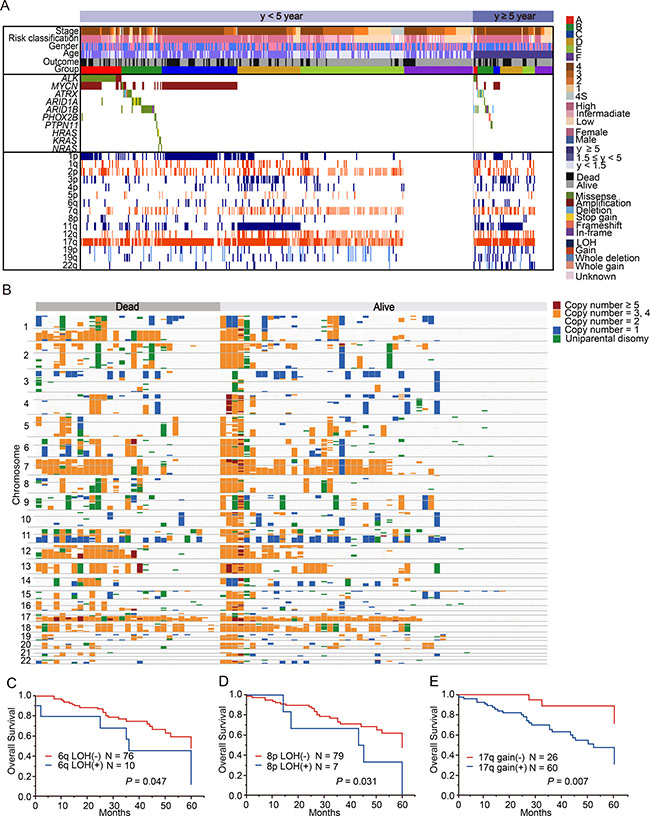 Characteristics of neuroblastoma patients older than 5 years and those younger than 5 years at diagnosis.