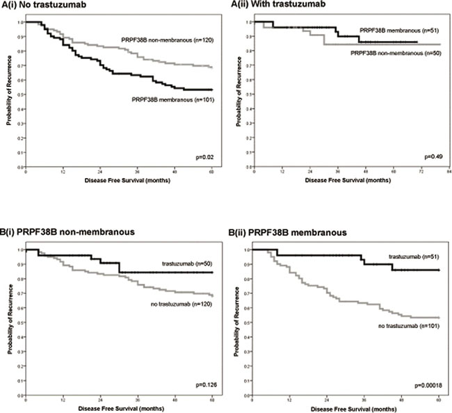 Relationships between PRPF38B expression and cellular localization and clinical outcome in patients with ER-negative/HER2-positive breast cancer in the presence or absence of trastuzumab treatment.