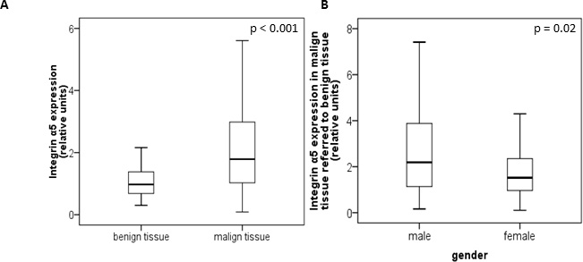 Protein level of integrin &#x03B1;5 in benign and malign renal tissue of 141 patients with clear cell RCC.