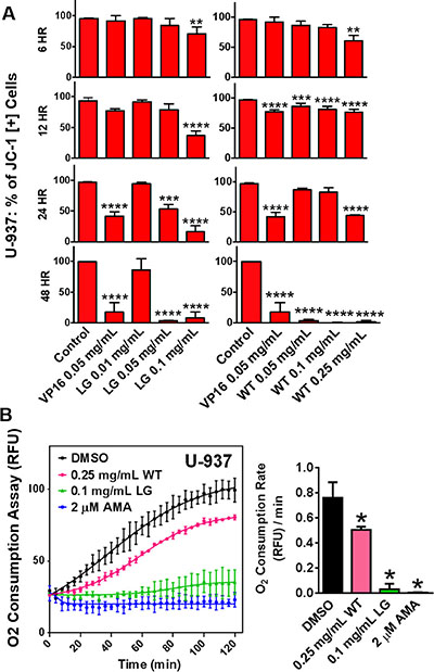 Lemongrass and white tea extracts cause mitochondrial depolarization and decreased rates of oxygen consumption in lymphoma cells.