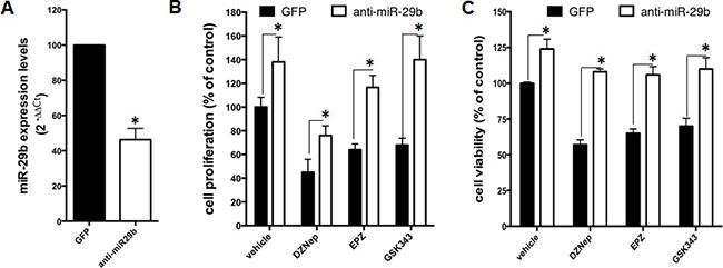 miR-29b antagonism impairs in vitro anti-MM activity of EZH2 inhibitors.