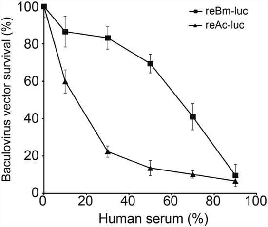 Baculovirus survival in human serum.