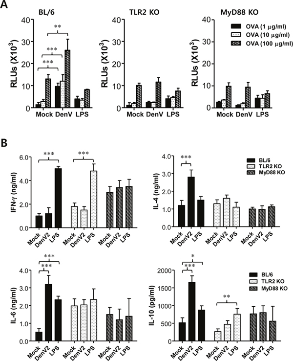 DenV-infected DCs promote Th2 immune response via TLR2/MyD88-dependent pathway.