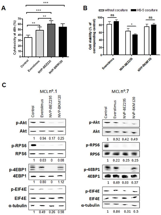 Cytotoxic effect of everolimus, NVP-BEZ235 and NVP-BKM120 and PI3K/Akt/mTOR signaling inhibition in primary MCL cells.