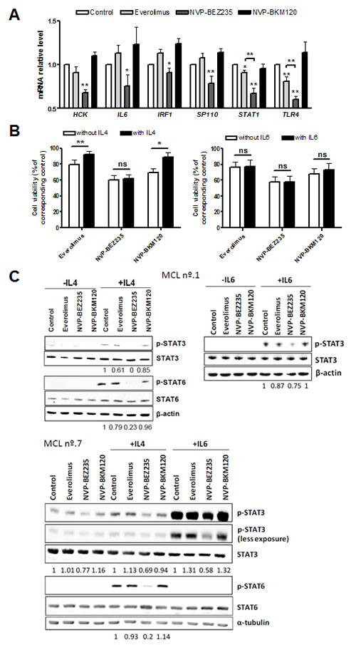 NVP-BEZ235 disrupts IL4 and IL6 signaling.