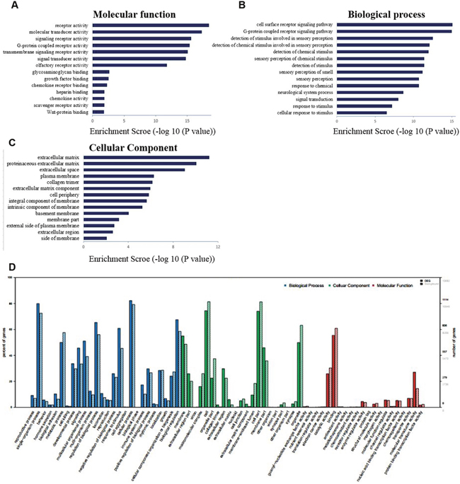 The differential expression of mRNAs in spinal cord after common bile duct ligation-induced jaundice model was analyzed by Gene Ontology (GO) annotation and enrichment.