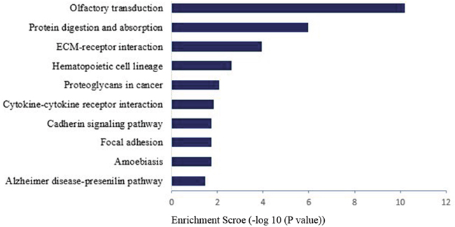 Pathway analysis for differential expression of mRNAs in spinal cord after common bile duct ligation-induced jaundice model.