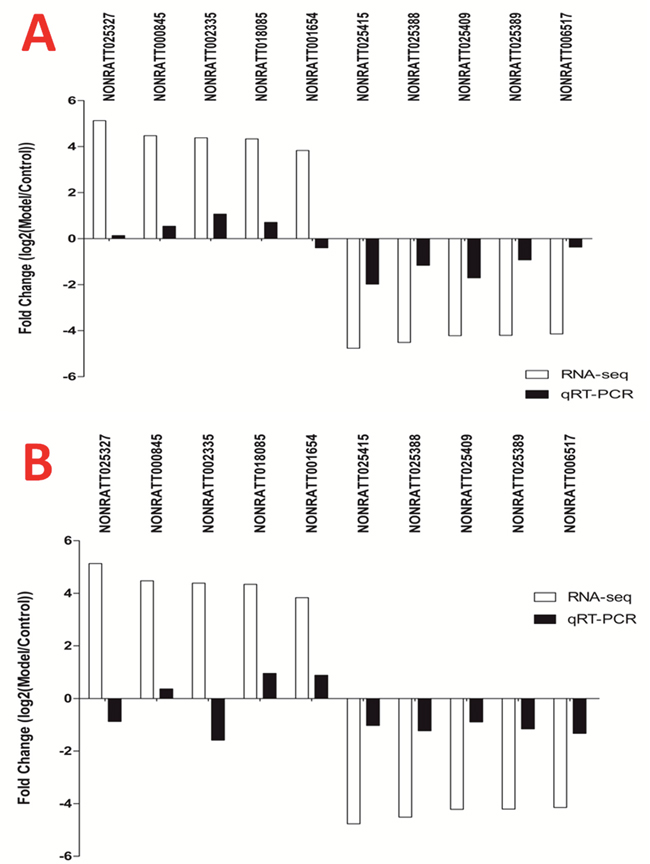 The expression of 10 lncRNAs in T6-T12 spinal cord at different time points after BDL operation.