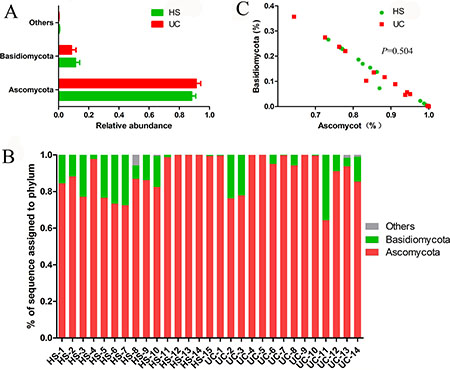 Figure 3: