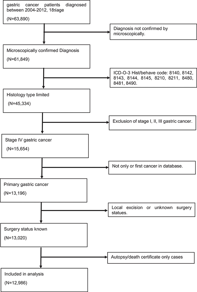 Selection of gastric cancer patients with stage IV in the study.