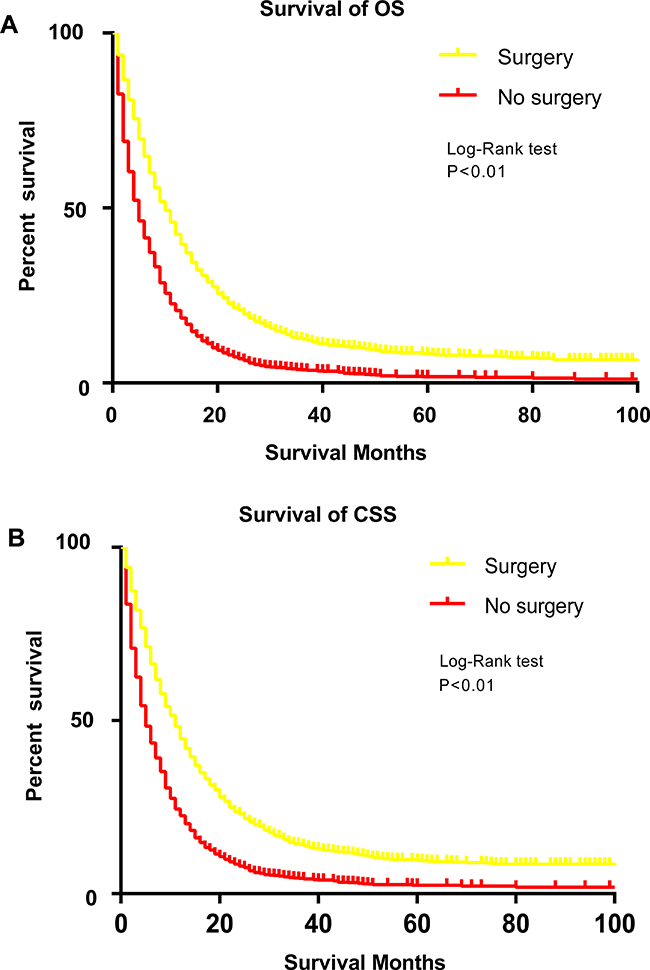Survival analysis of patients with stage IV gastric cancer by Kaplan-Meier curves after propensity matching procedure. (A) overall survival.