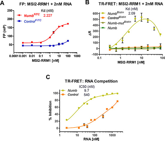 MSI2-RRM1 binds to Numb RNA.