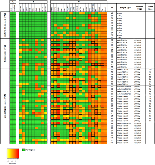 Heat map of relative gene expression levels of 29 CTC-related gene markers of ParsortixTM enriched blood samples (cohort 2).
