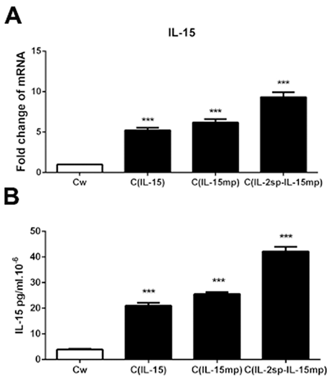 Transfection of genes encoding three IL-15 variants into NCI-H446 cells.