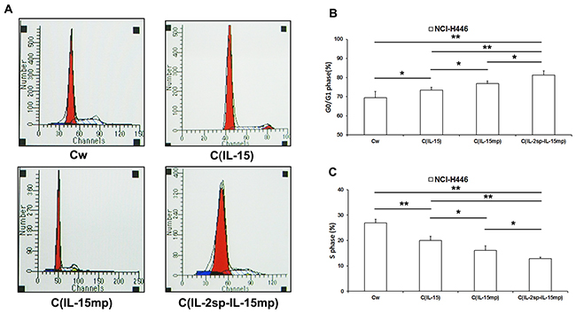 Effects of the three IL-15 variants on NCI-H446 cell cycling.