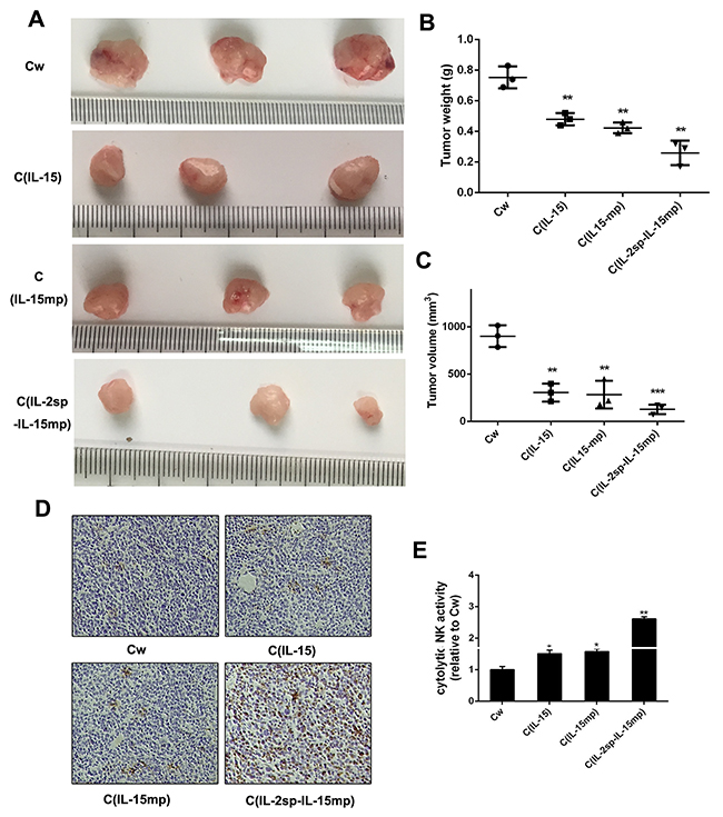 Anti-tumor potential of IL-15 in NCI-H446 cells.